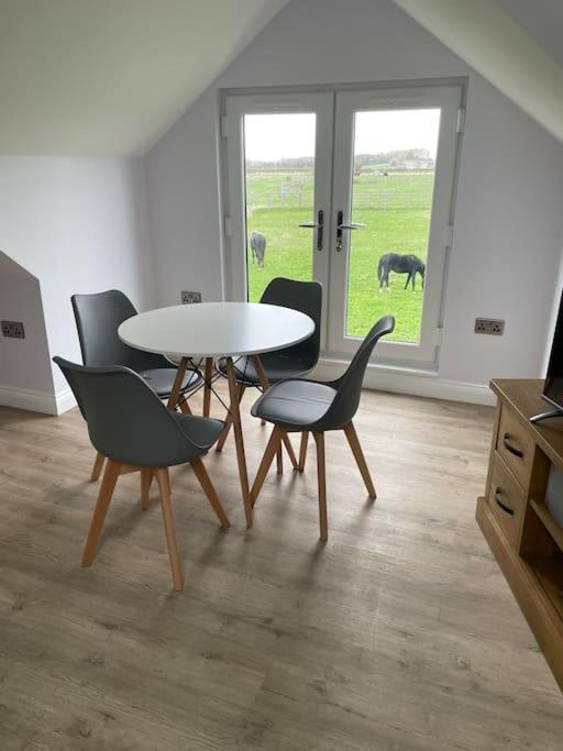 Appaloosa Suite With Amazing Views Of Stud Farm. Driffield Kültér fotó